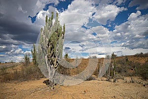 The Tatacoa desert in Colombia photo