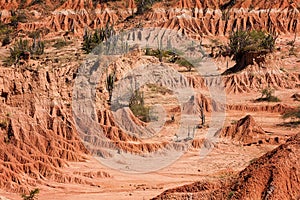 Tatacoa desert at Colombia photo