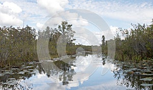 Tater Rake Run Kayak trail through Chesser Prairie in the Okefenokee Swamp National Wildlife Refuge Conservation Area, Georgia USA