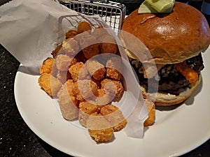 Tater tots and All American Hamburger with buffalo chicken wing