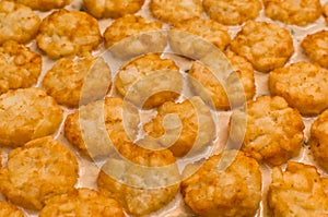 Tater Tots (Horizontal) photo