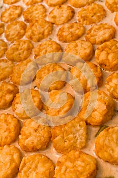 Tater Tots (Vertical) photo