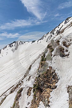 Tateyama Snow Mountain