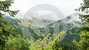 Tatra mountain forest in Slovakia covered with clouds