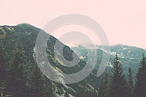 Tatra mountain forest in Slovakia covered with clouds - vintage