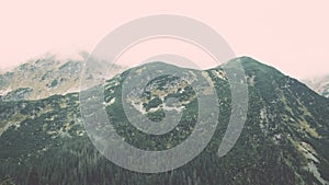 Tatra mountain forest in Slovakia covered with clouds - vintage