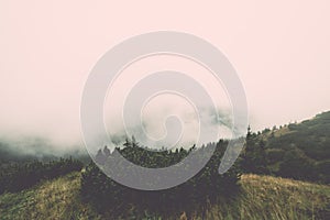 Tatra mountain forest in Slovakia covered with clouds - vintage