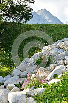 Tatra mountain in Slovakia autumn time