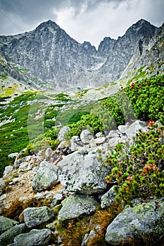 Tatra mountains landscape