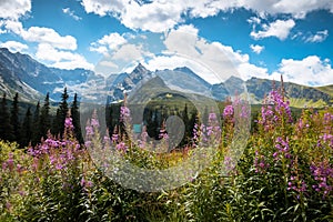 Tatra Mountains national park in Zakopane