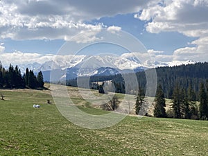 Tatra Mountains panorama seen from viewing point near Bukowina Tatrzanska, Poland photo