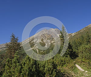 Tatra Mountains range gold colored sunrise light ,from Tatranska Lomnice with green trees and grass. Early autumn