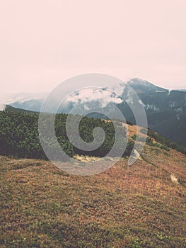 Tatra mountains in Slovakia covered with clouds - vintage effect