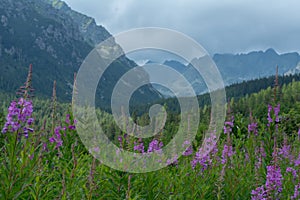 Tatra National Park, Slovakia