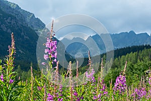 Tatra National Park, Slovakia