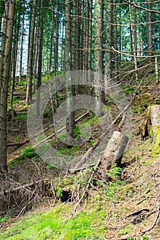 Tatra National park in Zakopane. Hiking trail in mountains