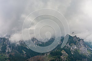 Tatry mountains. Beautiful green forests covered with fog and clouds