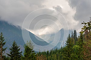 Tatry mountains. Beautiful green forests covered with fog and clouds