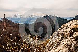 Tatry mountains and Pieniny mountains landscape in spring, Malopolska, Poland