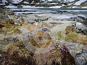 Tatry mountains in Slovakia in the spring