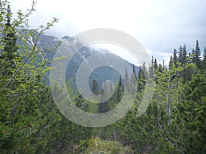 Tatry mountains in Slovakia in the spring