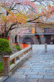 Tatsumi bashi bridge crosses Shirakawa river is the iconic place of Gion district in Kyoto, Japan