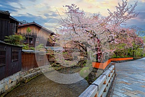 Tatsumi bashi bridge in Gion district with full bloom cherry blossom in Kyoto, Japan