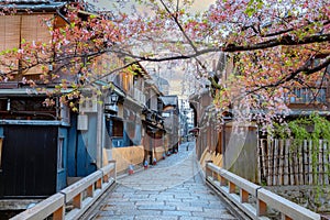 Tatsumi bashi bridge in Gion district with full bloom cherry blossom in Kyoto, Japan