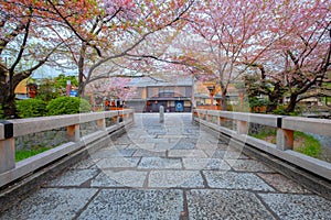 Tatsumi bashi bridge is the iconic place of Gion district. It is a little bridge crossing Shirakawa