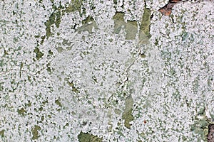 Tatter of a multi-colored old paint on a surface of a stone wall photo