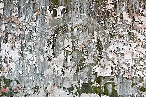 Tatter of multi-colored old paint on wall photo