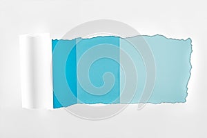 Tattered textured white paper with rolled edge on blue background.