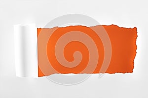 Tattered textured white paper with rolled edge on deep orange background.