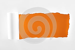 Tattered textured white paper with rolled edge on orange background.