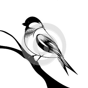 tattoo bird isolated on white background. Black minimalistic bird logo design vector