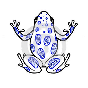 Tattoo blue linework frog photo