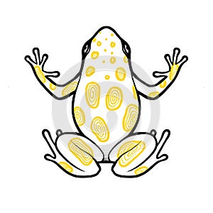 Tattoo yellow linework frog photo