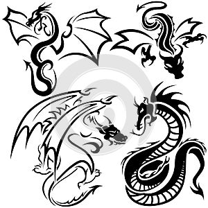 Tattoo Dragons photo