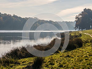 Tattoo lake early morning