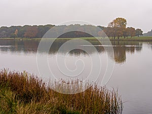 Tattoo lake mist