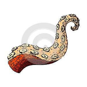 tattoo octopus kraken tentacle sketch hand drawn vector