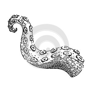 tattoo octopus kraken tentacle sketch hand drawn vector