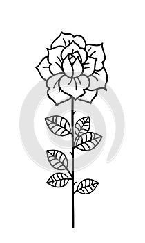 Tattoo Rose flower.Tattoo, mystic symbol with word Love