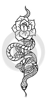 Tattoo with rose and snake. Traditional black style ink.