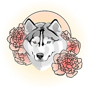 Tattoo sketch  Beautiful tender female dog breed Siberian husky in the colors of peonies