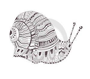 Tattoo sketch. Snail