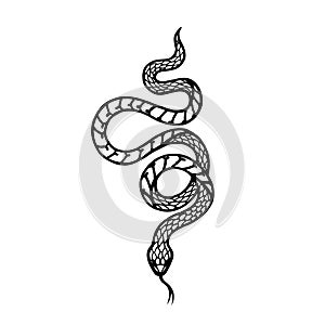 Tattoo snake. Traditional black dot style ink.