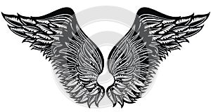 Tattoo wings.Eagle bird or angel wings