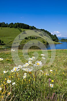 Tau Mare Lake