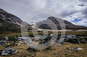 Taullipampa camp with tents and the remains of an avalanche in the background on the trekking of the quebrada santa cruz